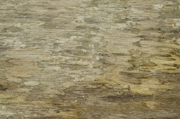 Background pattern on wooden floorx9