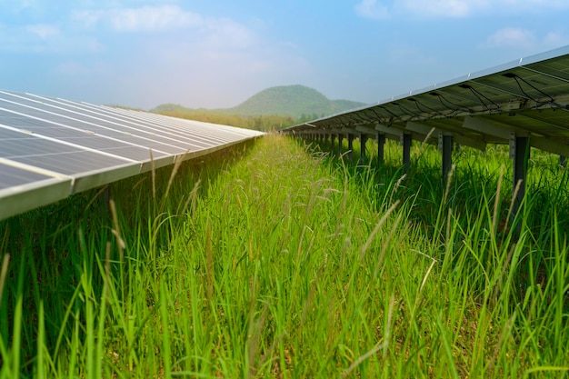 Background of Photovoltaic Cell Farm or Solar Panels Field eco friendly and clean energy