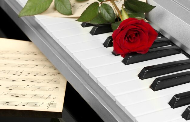 Background of piano keyboard