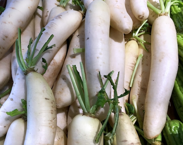 Background of Pile of Radishes