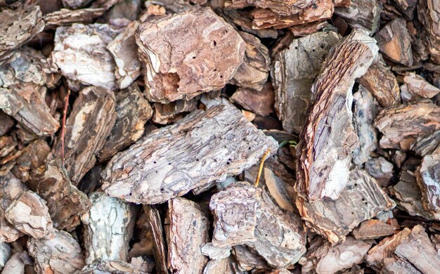 Background of pine bark chips in closeup