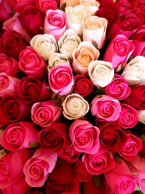 Background of pink and red roses.