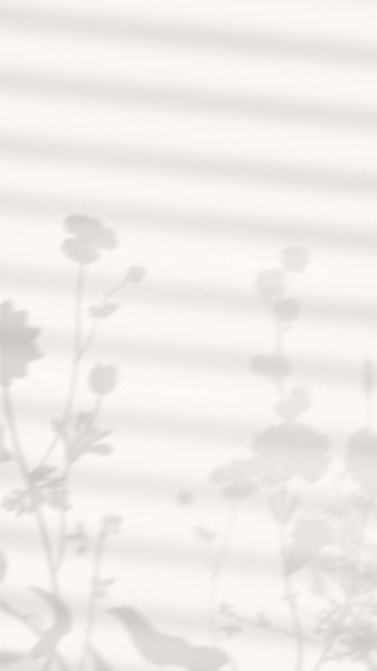 Photo 背景 png 透明な背景の自然光の美学的な影