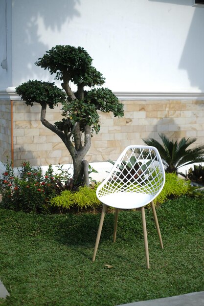 Photo background poster with chair and grass aestetic chair find it