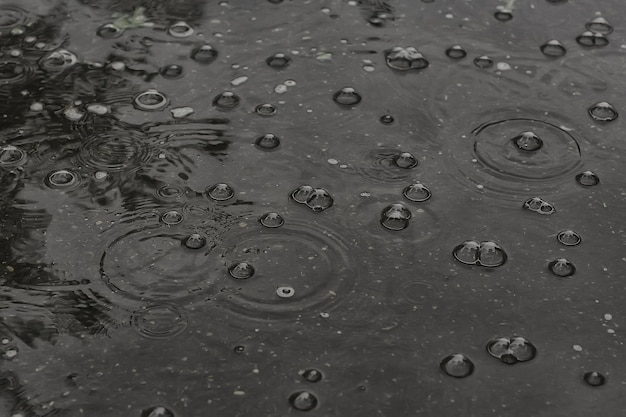 背景水たまりの雨/水たまりに円と滴、水に泡のあるテクスチャ、秋の雨