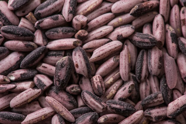 Background raw dark red purple rice, close up