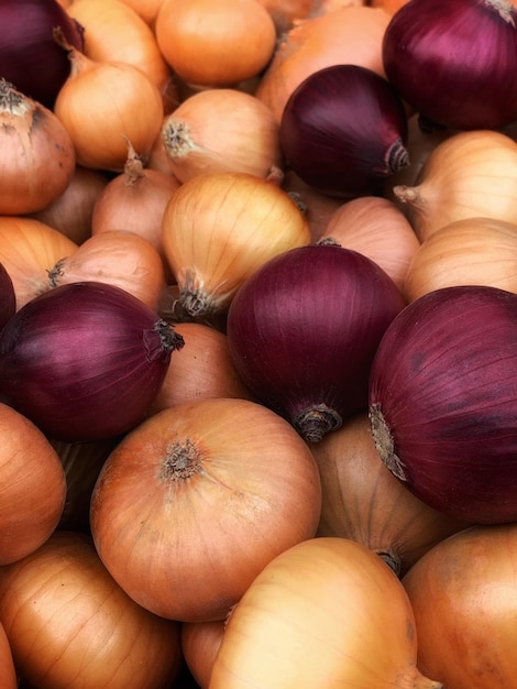 background of red onion close-up