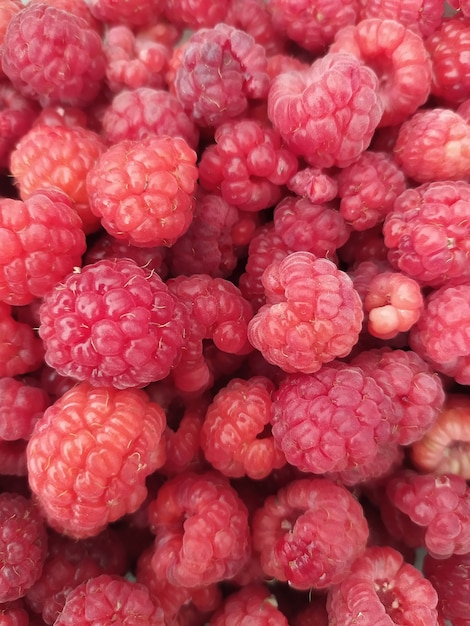 Background of ripe and fresh raspberries