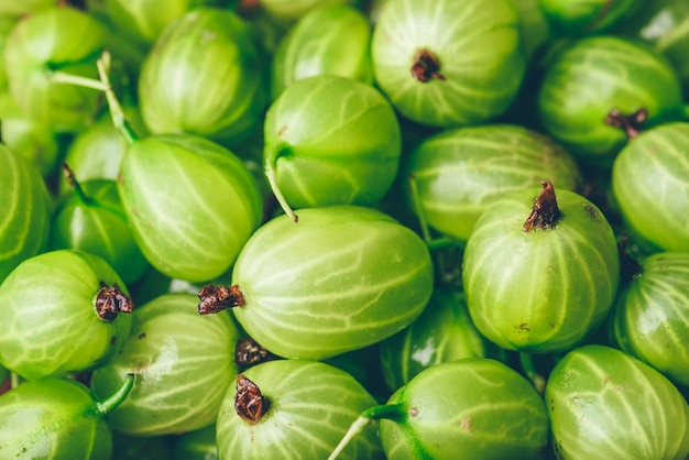 Background of Ripe and Green Gooseberry. Selective Focus.