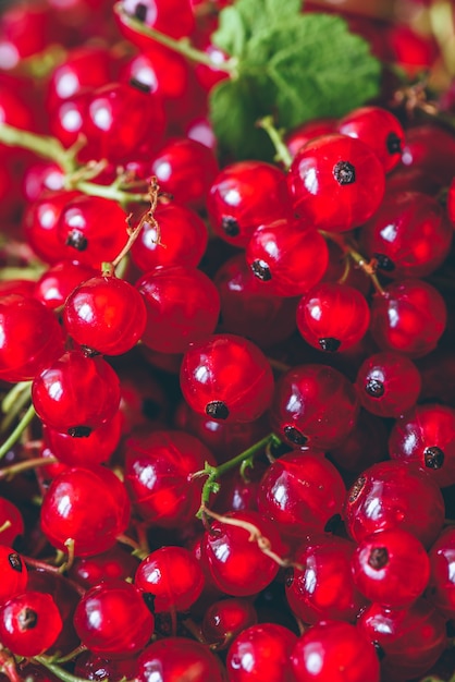 Sfondo di ribes rosso maturo e succoso.