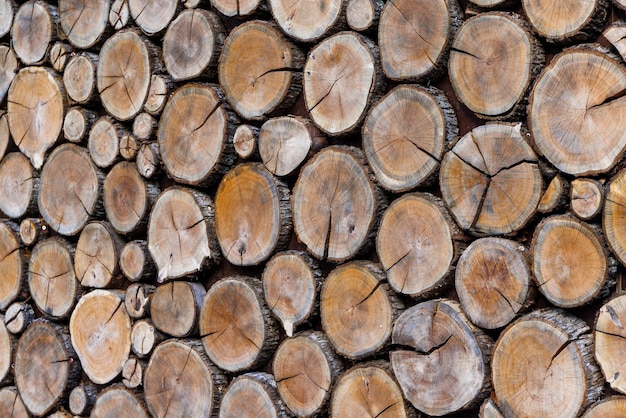 Background of round dry wooden cuts