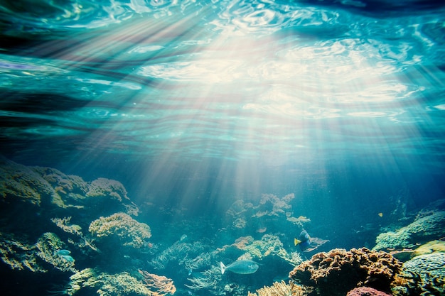 Background sand on the beach underwater