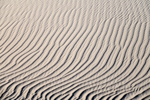 Foto sfondo di dune di sabbia