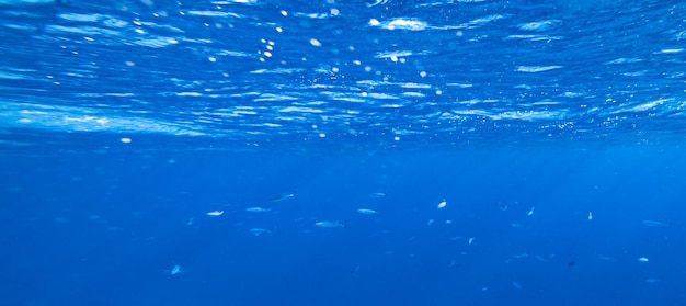 写真 水中のビーチで砂の背景