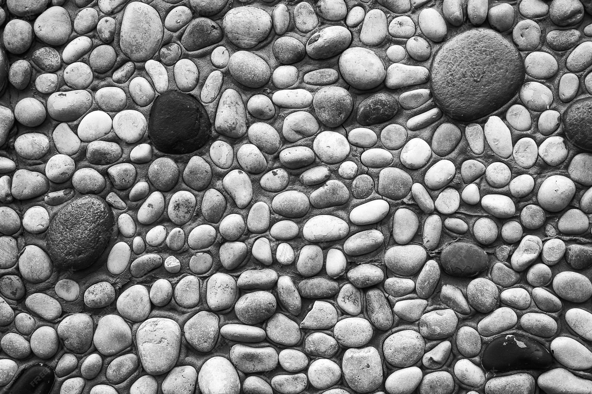 Premium Photo | Background of sea stones on the wall