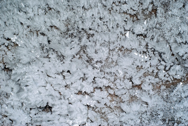 Sullo sfondo una sezione della parete della grotta ricoperta da grandi cristalli di ghiaccio