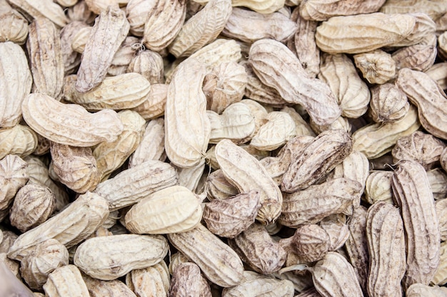 background showing lots of group white peanuts