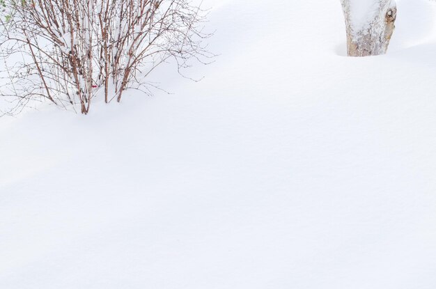 雪の背景