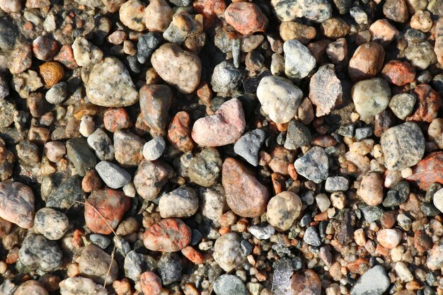 Background stones on the shore for your design