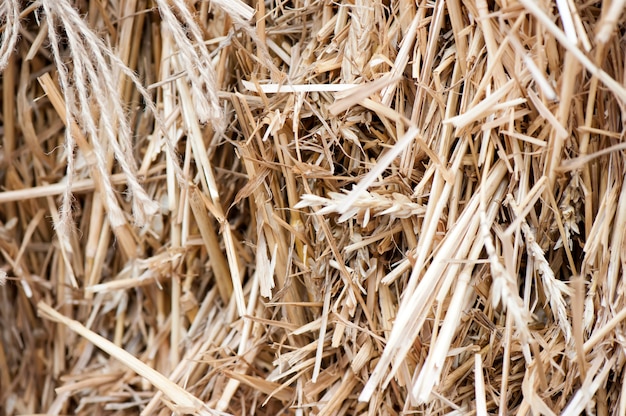 Background of straw