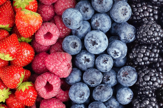 Background of strawberries, raspberries, blueberries and blackberries laid out in a row