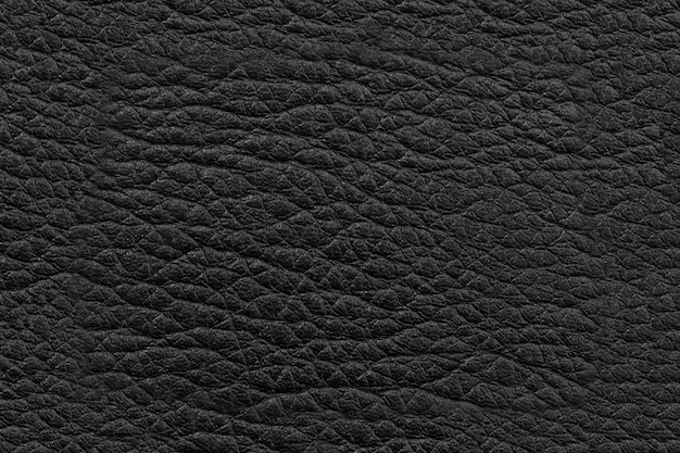 Фото Фоновая поверхность из натуральной черной кожи с рисунком.