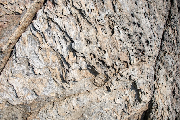 背景の表面の岩