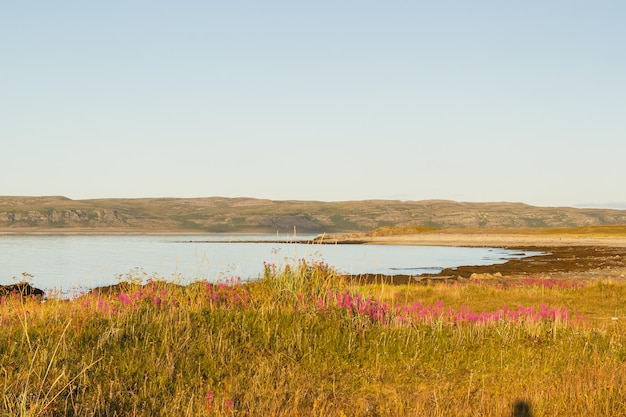 Background of the surroundings of the Rybachy peninsula Barents Sea