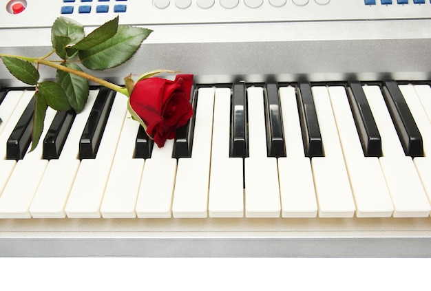 Background of synthesizer keyboard with rose