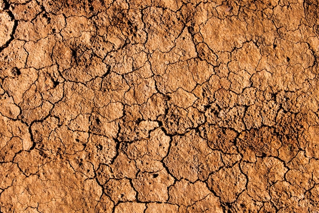 Background and texture of cracked dry earth