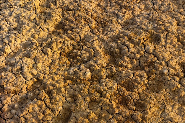 Background, texture - cracks in dry clay bumpy soil