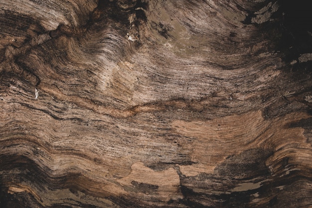 Background texture dark wood tones