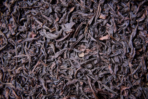 Background, texture of dried tea leaves close-up