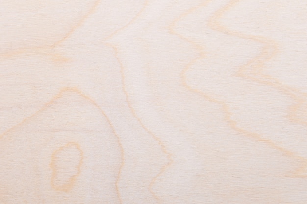 Background texture of a freshly cut light wood with curved lines