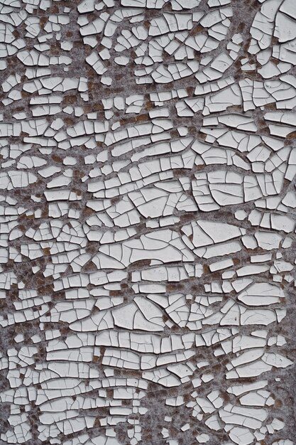 Background texture. Gray surface with white old cracked paint. Top view, copy space. Vertical