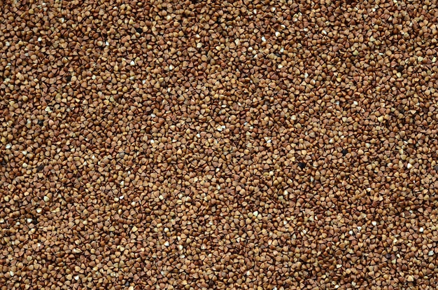 Background texture of a large pile of buckwheat. Many buckwheat grains close-up in daylight