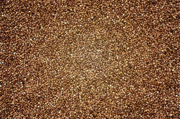 Background texture of a large pile of buckwheat. Many buckwheat grains close-up in daylight