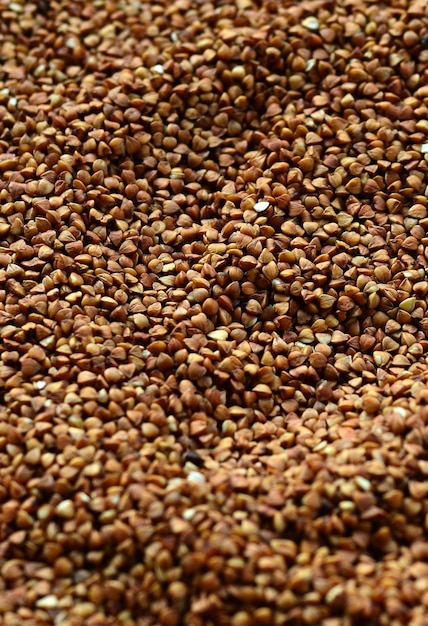 Background texture of a large pile of buckwheat many buckwheat grains closeup in daylight