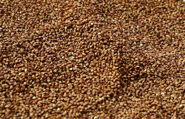 Background texture of a large pile of buckwheat many buckwheat grains closeup in daylight