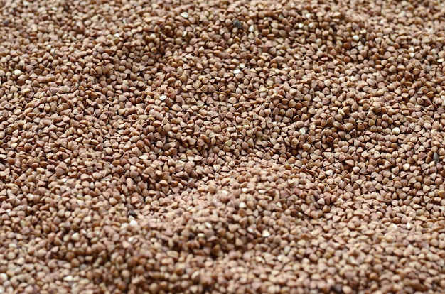 Background texture of a large pile of buckwheat. 