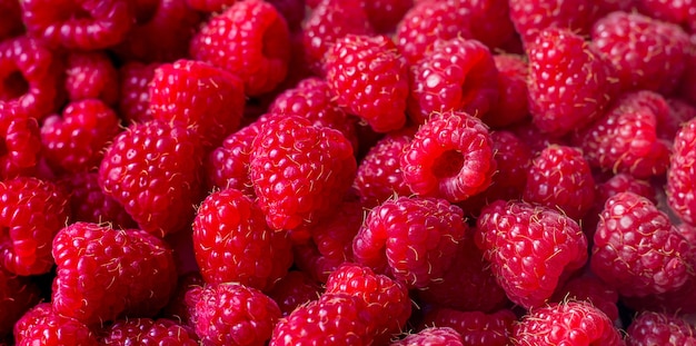 Background, texture made of red raspberry berries