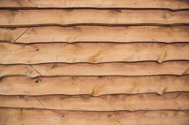 Background texture of natural wood. close up cross section tree trunk. old tree stump texture background