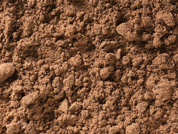 Background texture of nutmeg powder spice used as a spice in cooking