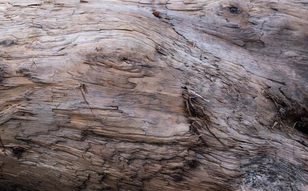 Background and texture of old wood