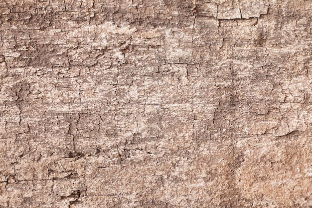 Foto tavola di legno vecchia di texture di sfondo.