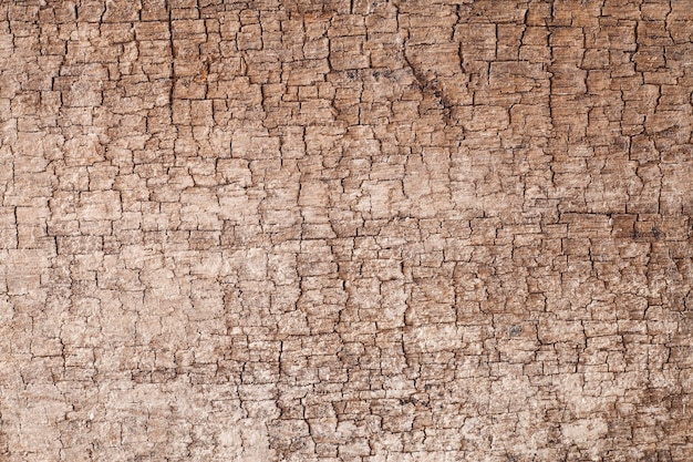 Background texture old  wooden board.