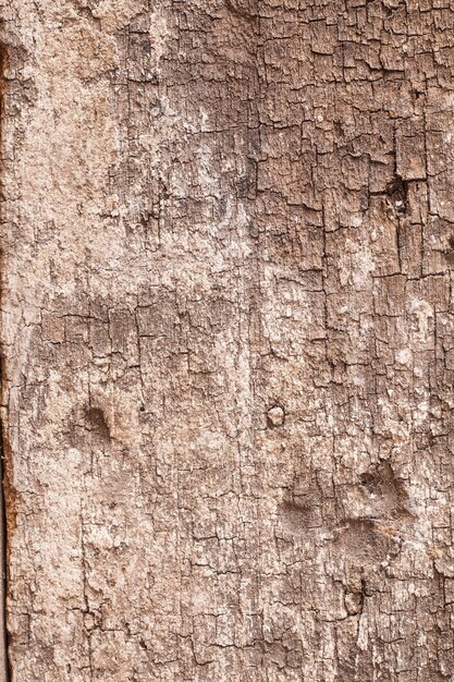 Background texture old  wooden board.