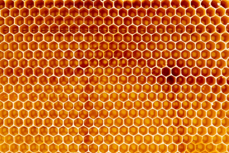 Photo background texture and pattern of a section of wax honeycomb from a bee hive filled with golden honey in a full frame view