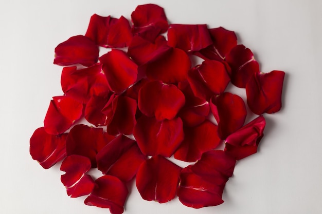 background texture of red rose petals