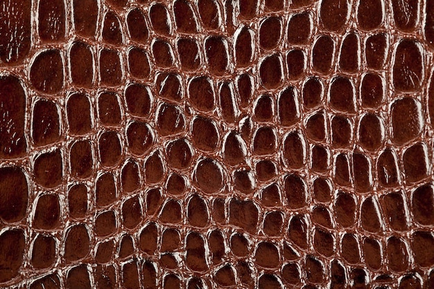 Background, texture of a skin of a crocodile close up